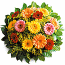Blumen der Saison