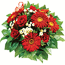 Blumen zum Geburtstag